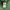 Vintage Y2K Sweater Pria green photo 3