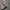 Realtree Camo Zipp Hoodie photo 6