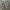 Y2K Quiksilver Camo Cargo Short Pants photo 1