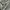 Y2K Quiksilver Camo Cargo Short Pants photo 5
