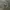 Y2K Quiksilver Camo Cargo Short Pants photo 2