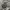 Y2K Quiksilver Camo Cargo Short Pants photo 6