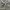 Y2K Quiksilver Camo Cargo Short Pants photo 3