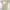 COLORBOX Cottagecore Coquette Crop Top Wanita White Cream