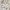 COLORBOX Cottagecore Coquette Crop top Wanita white cream photo 4