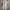 Trouser pants chinos photo 4