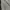 Ten 'N Shes Minimalist Casual Maxi skirt Wanita gray photo 3