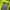 Kolon Sport Jacket Wind Block Waterproot Men  photo 6