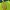 Kolon Sport Jacket Wind Block Waterproot Men  photo 5
