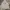 Covernat Streetwear Hoody Pria gray photo 1