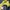 Fila Sport Jacket Running Gorpcore Men photo 3