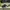 Nike Shoes photo 1