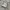 Puma Palermo Leather White Cool Light Grey  photo 1