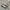 Puma Speedcat Cool Mid Gray  photo 1