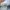 Adidas Streetwear Casual Sneakers Pria cream photo 5