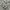 New Balance 1906R Harbor Grey Silver Metallic  photo 2