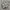New Balance 1906R Harbor Grey Silver Metallic  photo 3