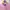 Casual Polo shirt Pria purple photo 4