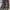 Sepatu boots Dr. Martens Kids photo 1