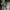 m65 jacket camo , camouflage m65 jacket photo 6