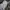 m65 jacket camo , camouflage m65 jacket photo 8