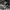 m65 jacket camo , camouflage m65 jacket photo 5