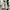 Nike Air Zoom Vomero 5 Primary Colors photo 2