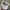 Vintage Hat Pria gray photo 2