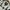 Vintage Sportswear Polo shirt Pria black cream photo 4