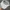 Vintage Hat Pria gray photo 2