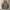 Dickies Pullover Hoodie DMP3UTHT595 - Beige  photo 1