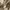 Dickies Pullover Hoodie DMP3UTHT595 - Beige  photo 6