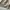 Dickies Pullover Hoodie DMP3UTHT595 - Beige  photo 4