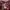 Bershka Y2K Crop top Wanita burgundy black photo 2
