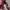 Bershka Y2K Crop top Wanita burgundy black photo 4