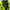  NEPA Jacket Outdoor Waterproof Gorpcore photo 3