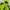  NEPA Jacket Outdoor Waterproof Gorpcore photo 2