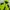  NEPA Jacket Outdoor Waterproof Gorpcore