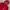 New Balance Jacket Outdoor Red Men NB photo 3