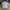 Barbour Basic Pocket tee not Burberry photo 1