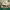 Nike Air Jordan 13 He Got Game photo 1