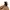 Ills Japanese Brand Camou Fleece Canvas Brown Duck Active photo 4