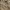 Ills Japanese Brand Camou Fleece Canvas Brown Duck Active photo 8