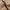 Ills Japanese Brand Camou Fleece Canvas Brown Duck Active photo 5