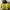 NEPA Sportswear Track jacket Pria navy yellow photo 1