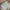 Coach Vintage Y2K Shoulder bag Wanita tan photo 7