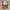 Coach Vintage Y2K Shoulder bag Wanita tan photo 3