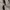 Basic Japanese textured tailored trousers tanish khaki celan photo 4