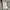 Nike big logo LS photo 4