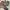 Jam tangan parlent aragont automatic photo 2